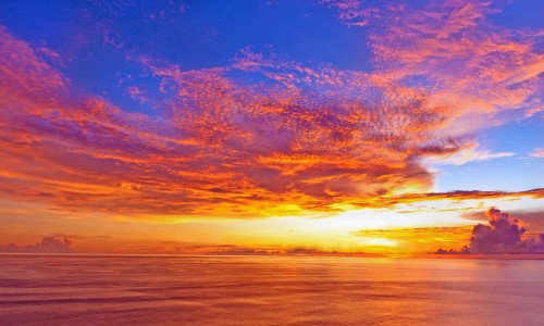 小儿蓝芩口服液说明书网 - 为你提供小儿蓝笒口服液、蓝芩口服液儿童用药量