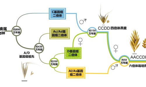 小儿蓝芩口服液说明书网 - 为你提供小儿蓝笒口服液、蓝芩口服液儿童用药量